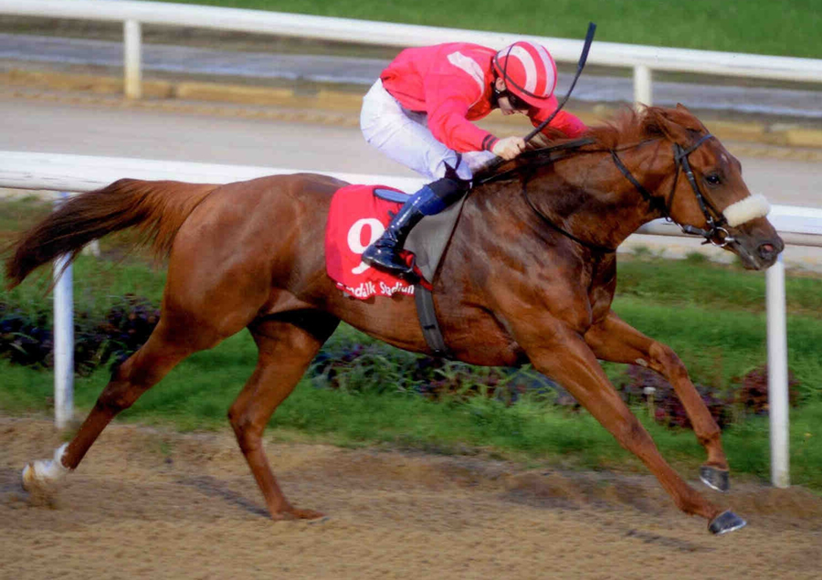 MIss Mousey Dundalk 4th October 2013